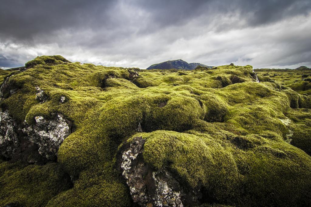 Hotel Gigur By Keahotels Myvatn Buitenkant foto